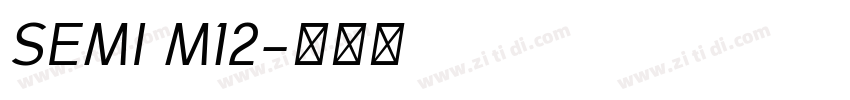 SEMI M12字体转换